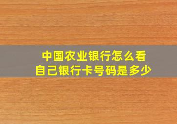 中国农业银行怎么看自己银行卡号码是多少