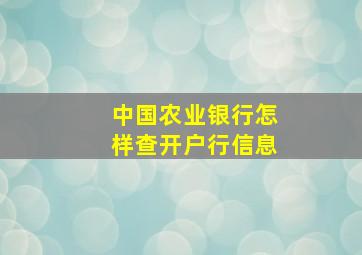 中国农业银行怎样查开户行信息