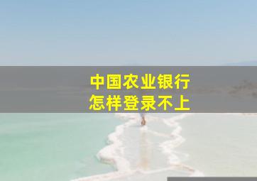 中国农业银行怎样登录不上