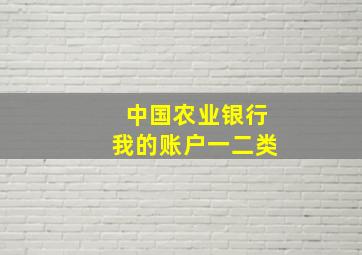 中国农业银行我的账户一二类