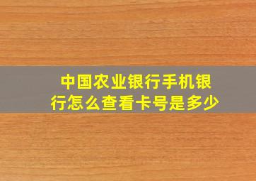 中国农业银行手机银行怎么查看卡号是多少