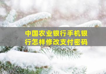 中国农业银行手机银行怎样修改支付密码