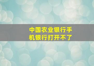 中国农业银行手机银行打开不了