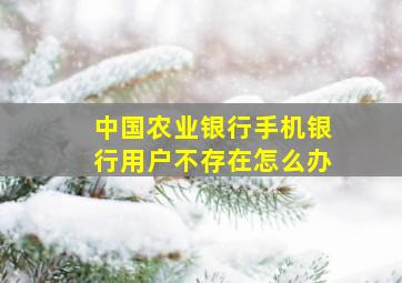 中国农业银行手机银行用户不存在怎么办