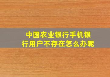 中国农业银行手机银行用户不存在怎么办呢