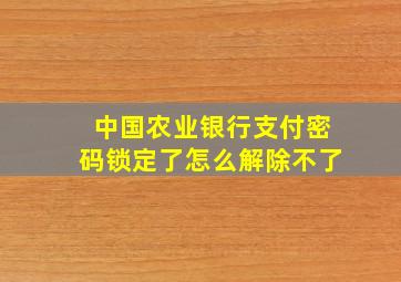 中国农业银行支付密码锁定了怎么解除不了