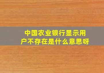 中国农业银行显示用户不存在是什么意思呀