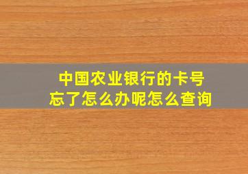 中国农业银行的卡号忘了怎么办呢怎么查询