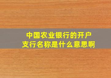 中国农业银行的开户支行名称是什么意思啊