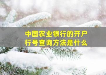 中国农业银行的开户行号查询方法是什么