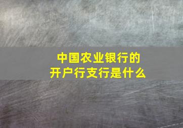 中国农业银行的开户行支行是什么