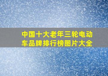 中国十大老年三轮电动车品牌排行榜图片大全