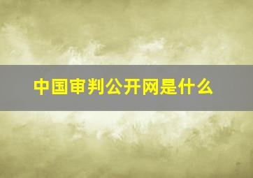 中国审判公开网是什么