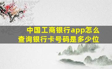 中国工商银行app怎么查询银行卡号码是多少位