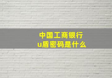 中国工商银行u盾密码是什么