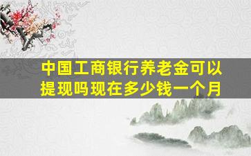 中国工商银行养老金可以提现吗现在多少钱一个月