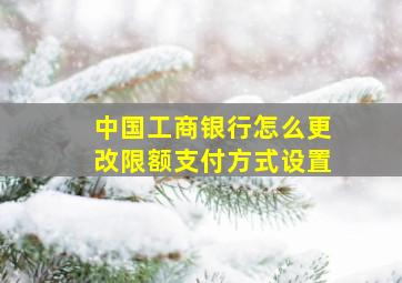 中国工商银行怎么更改限额支付方式设置