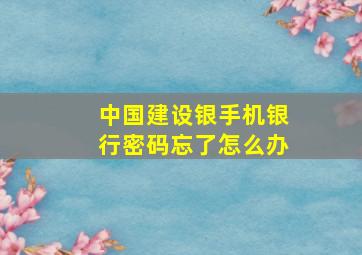 中国建设银手机银行密码忘了怎么办