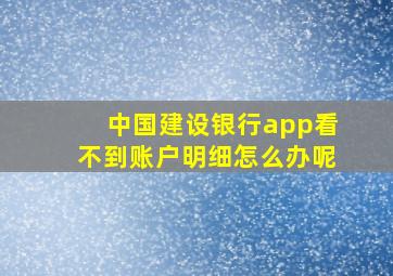 中国建设银行app看不到账户明细怎么办呢