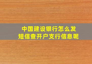 中国建设银行怎么发短信查开户支行信息呢