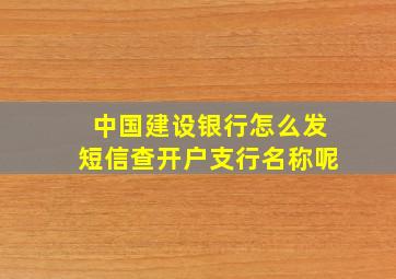 中国建设银行怎么发短信查开户支行名称呢