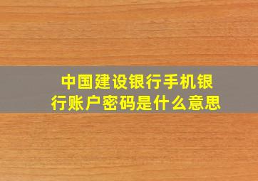 中国建设银行手机银行账户密码是什么意思