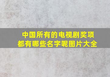 中国所有的电视剧奖项都有哪些名字呢图片大全