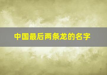 中国最后两条龙的名字