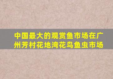 中国最大的观赏鱼市场在广州芳村花地湾花鸟鱼虫市场