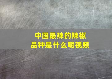 中国最辣的辣椒品种是什么呢视频