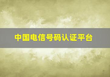 中国电信号码认证平台