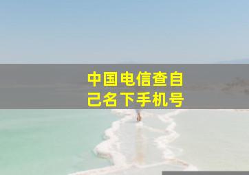 中国电信查自己名下手机号