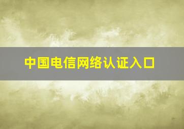 中国电信网络认证入口