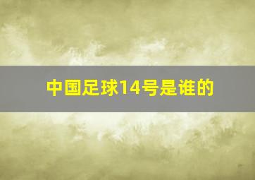 中国足球14号是谁的