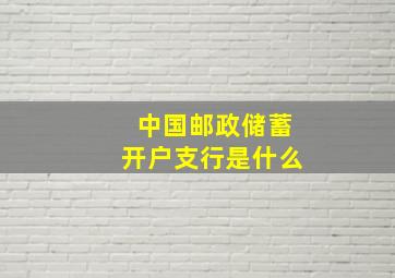 中国邮政储蓄开户支行是什么