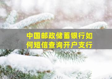 中国邮政储蓄银行如何短信查询开户支行