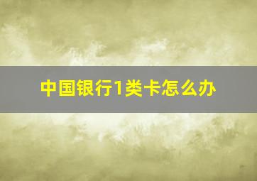 中国银行1类卡怎么办