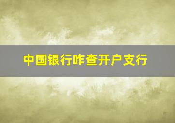 中国银行咋查开户支行