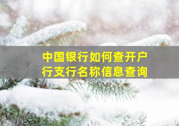 中国银行如何查开户行支行名称信息查询