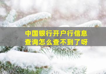 中国银行开户行信息查询怎么查不到了呀