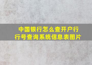 中国银行怎么查开户行行号查询系统信息表图片