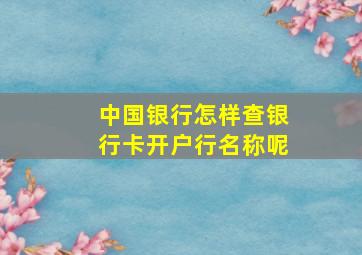 中国银行怎样查银行卡开户行名称呢