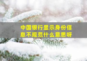 中国银行显示身份信息不规范什么意思呀