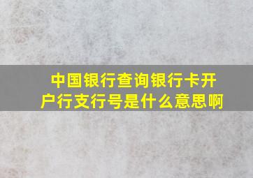 中国银行查询银行卡开户行支行号是什么意思啊