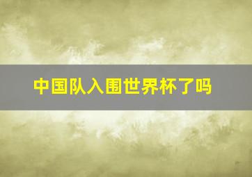 中国队入围世界杯了吗