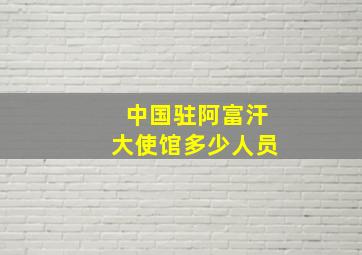 中国驻阿富汗大使馆多少人员