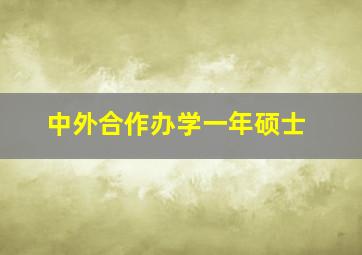 中外合作办学一年硕士