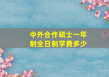 中外合作硕士一年制全日制学费多少