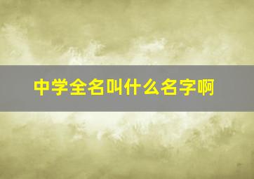 中学全名叫什么名字啊