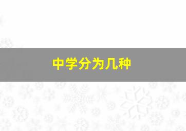 中学分为几种